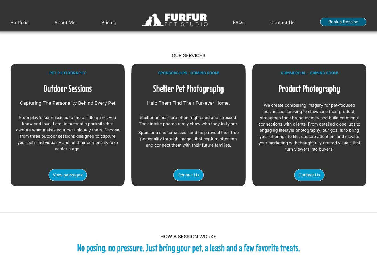 Homepage services section with cards for outdoor sessions, shelter photography and product photography